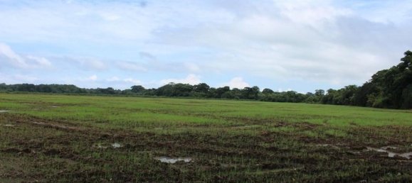  Land in Garabito, Costa Rica No. 1448 4