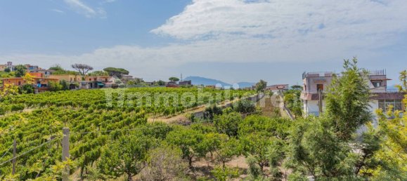 5 bedrooms Villa in Ercolano, Italy No. 343349 11