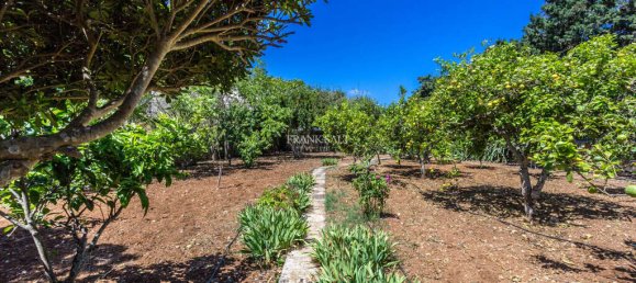 3 bedrooms Farm in Rabat, Malta No. 2623 6