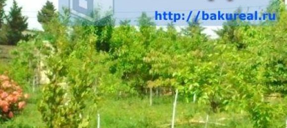 Дом с 6 спальнями в Сабунчинский район, Азербайджан № 978 6