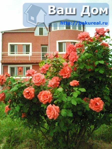 6 Schlafzimmer Haus in Sabuntschu, Azerbaijan, Nr. 978