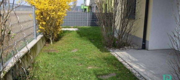 3 rooms Apartment in Wurmla, Austria No. 173615 2