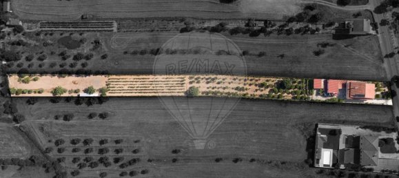 4 bedrooms House in Riachos, Portugal No. 175921 4