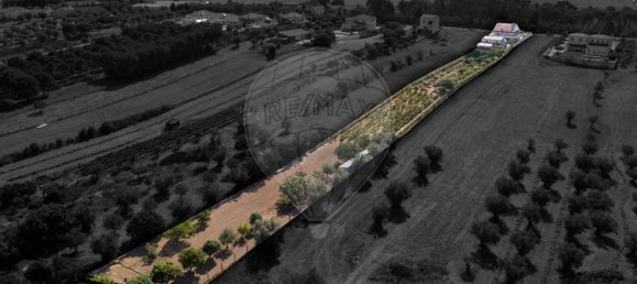 4 bedrooms House in Riachos, Portugal No. 175921 6