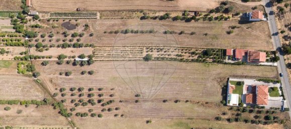 4 bedrooms House in Riachos, Portugal No. 175921 3