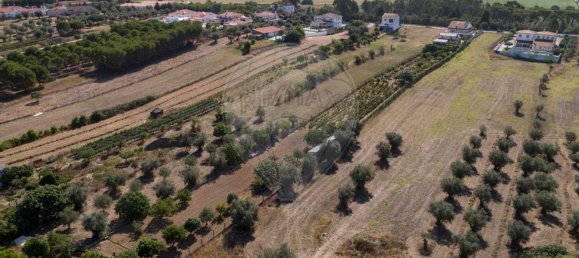 4 bedrooms House in Riachos, Portugal No. 175921 5