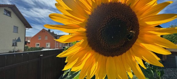 7-salle Maison à Aschaffenburg, Germany No. 315115 9