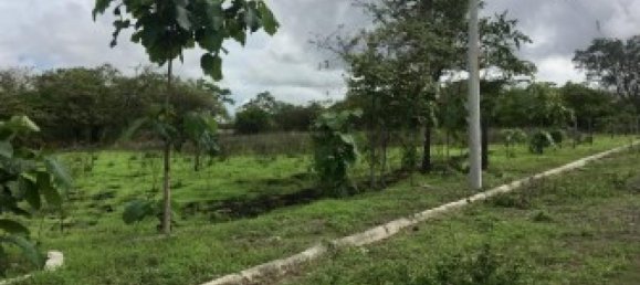  Land in Liberia, Costa Rica No. 1483 5