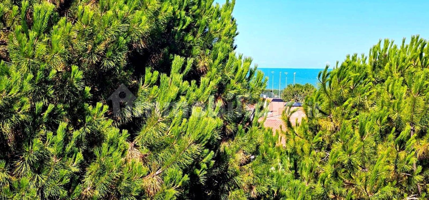 2 bedrooms Apartment in Porto Recanati, Italy No. 309214