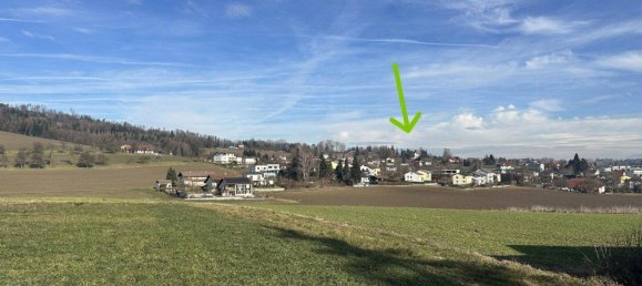 7 rooms Land in Leonding, Austria No. 151061 4