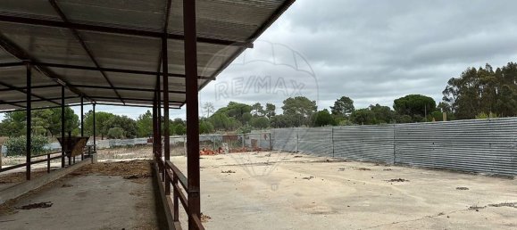 1 bedroom House in Coruche, Portugal No. 177611 18