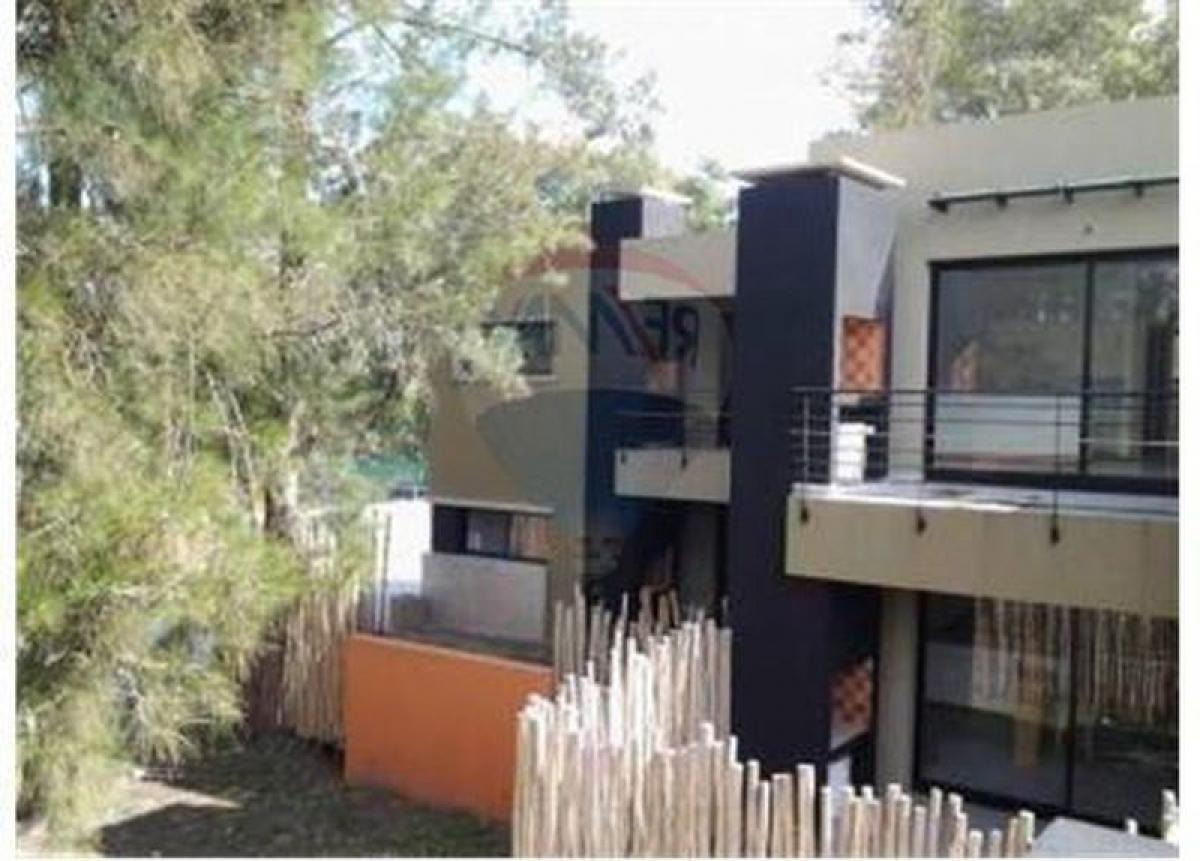 Studio in Ezeiza, Argentina No. 15674