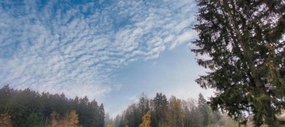 Casa de 3 habitaciónes en Vogtlandkreis, Germany No. 343295 4