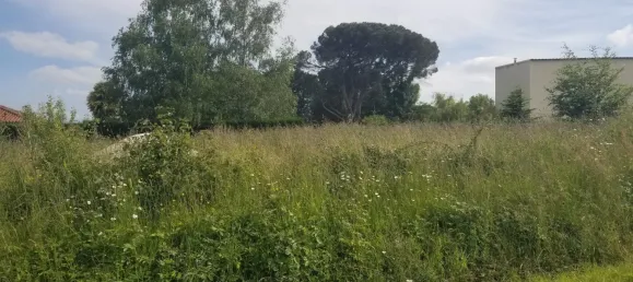 Propriété commerciale à Tarbes, France No. 323853 2