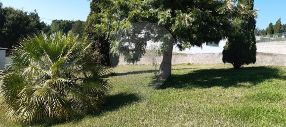 Casa de 4 dormitorios en Agueda, Portugal No. 22807 11