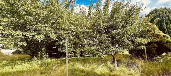 3غرفة منزل في Baden-Wurttemberg, Germany رقم 2889 10