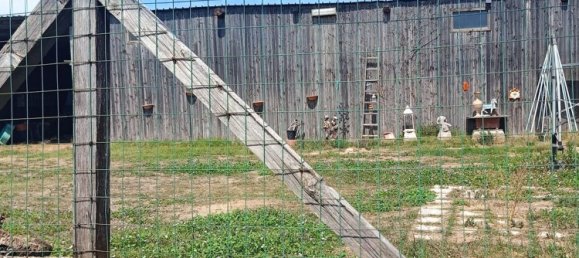 11087m² Land in Fiumicino, Italy No. 286772 4