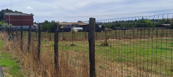 11087m² Land in Fiumicino, Italy No. 286772 10