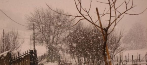 11087m² Land in Fiumicino, Italy No. 286772 2