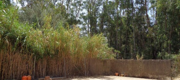 4 bedrooms House in Mijas, Spain No. 43567 19