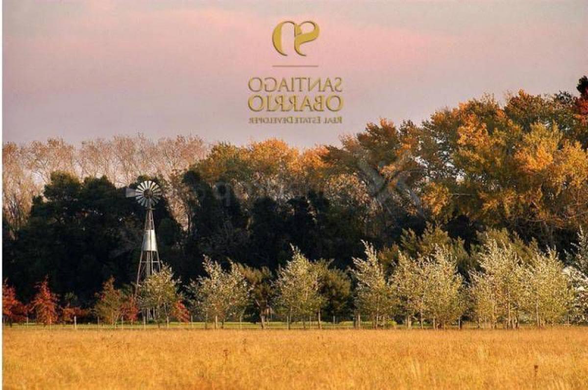  Land in Buenos Aires, Argentina No. 111117