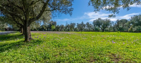 6 Schlafzimmer Villa in Rome, Italy, Nr. 107224 24