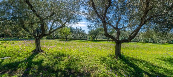 6 Schlafzimmer Villa in Rome, Italy, Nr. 107224 25