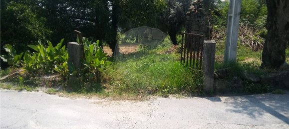  قطعة أرض في Sao Torcato, Portugal 6719متر مربع رقم 43530 17