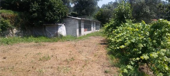  قطعة أرض في Sao Torcato, Portugal 6719متر مربع رقم 43530 3