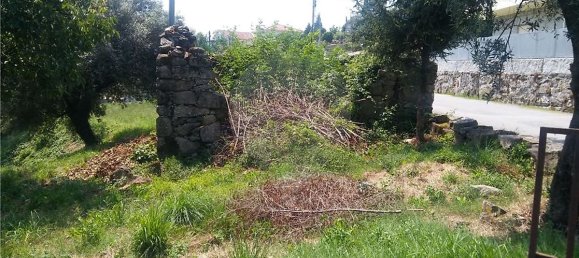  قطعة أرض في Sao Torcato, Portugal 6719متر مربع رقم 43530 14