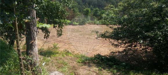  قطعة أرض في Sao Torcato, Portugal 6719متر مربع رقم 43530 4