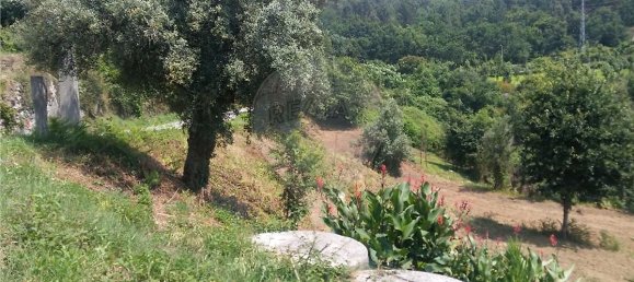  قطعة أرض في Sao Torcato, Portugal 6719متر مربع رقم 43530 10