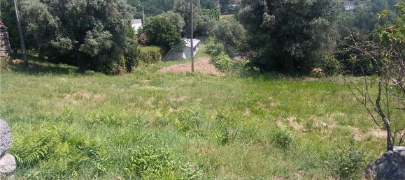  قطعة أرض في Sao Torcato, Portugal 6719متر مربع رقم 43530 15