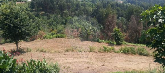  قطعة أرض في Sao Torcato, Portugal 6719متر مربع رقم 43530 5