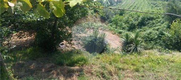  قطعة أرض في Sao Torcato, Portugal 6719متر مربع رقم 43530 6