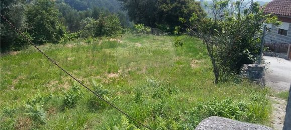  قطعة أرض في Sao Torcato, Portugal 6719متر مربع رقم 43530 9