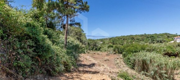 Земельный участок 7822м² в Эрисейра, Португалия № 48754 12