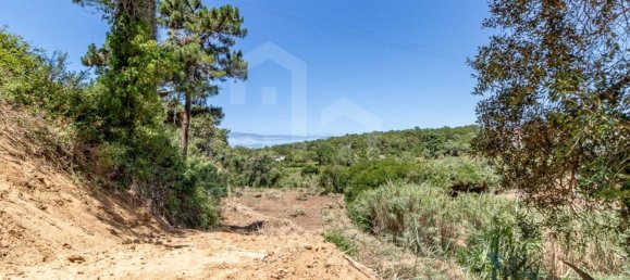 Земельный участок 7822м² в Эрисейра, Португалия № 48754 9