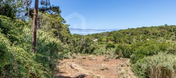 Земельный участок 7822м² в Эрисейра, Португалия № 48754 2