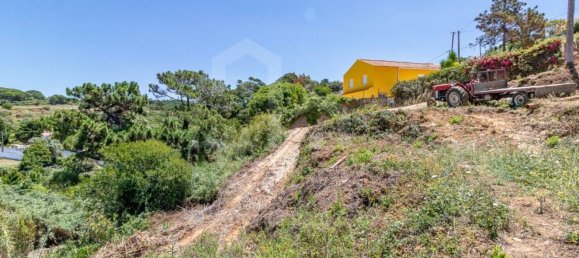 Земельный участок 7822м² в Эрисейра, Португалия № 48754 8
