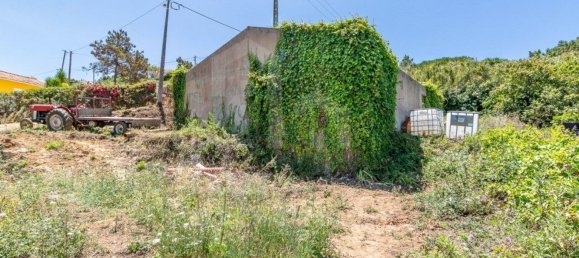 Земельный участок 7822м² в Эрисейра, Португалия № 48754 5