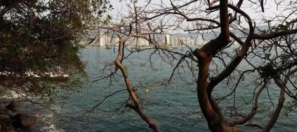 3 bedrooms Apartment in Acapulco de Juarez, Mexico No. 55283 2