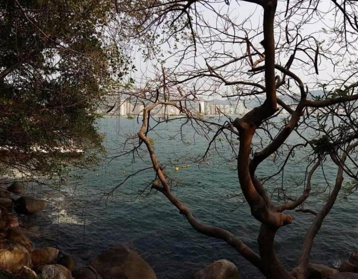 3 bedrooms Apartment in Acapulco de Juarez, Mexico No. 55283