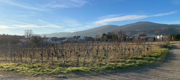 Apartamento de 3 divisões em Gumpoldskirchen, Austria N.º 133247 7