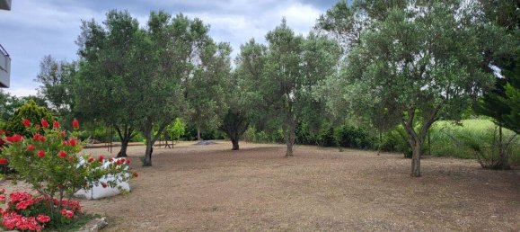 Propiedad comercial de 3 dormitorios en Chalkidiki, Greece No. 52943 21