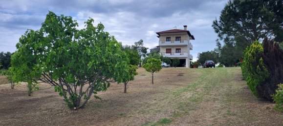 Propiedad comercial de 3 dormitorios en Chalkidiki, Greece No. 52943 16