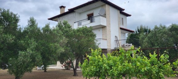 Propiedad comercial de 3 dormitorios en Chalkidiki, Greece No. 52943 17