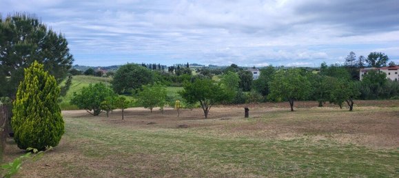 Propiedad comercial de 3 dormitorios en Chalkidiki, Greece No. 52943 20