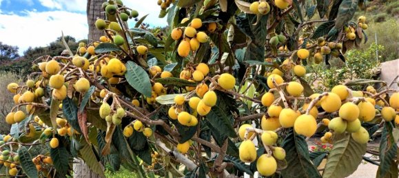 2 bedrooms House in Almayate Bajo, Spain No. 38725 29