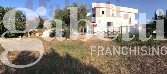 2 Schlafzimmer Villa in Cellole, Italy, Nr. 32905 5